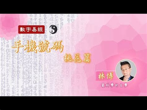 天醫生氣|天醫生氣：成功人士的選擇